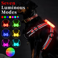 Luminous nylon dog lead with multi-colour LED lights and a coiled charging cable.