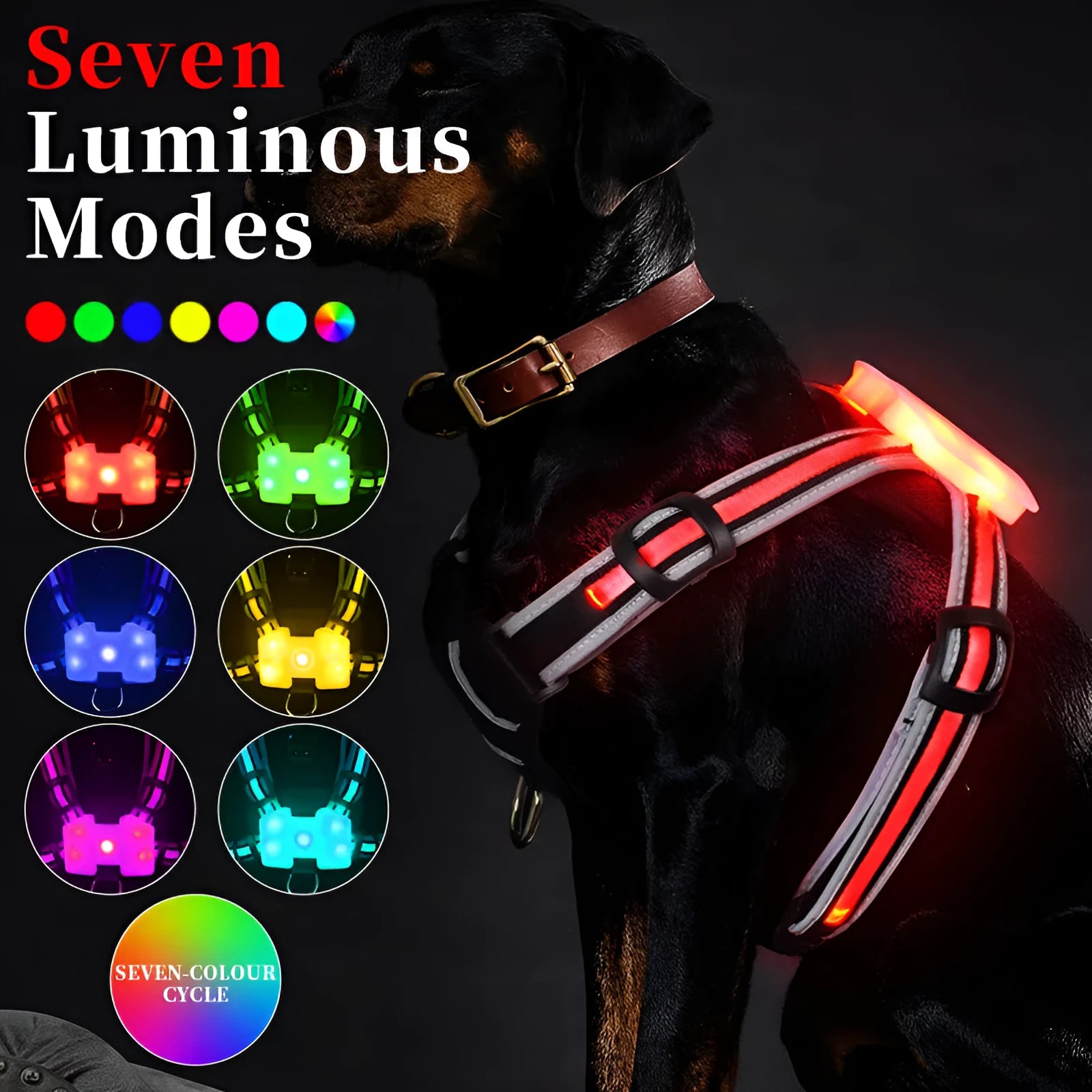 Luminous nylon dog lead with multi-colour LED lights and a coiled charging cable.