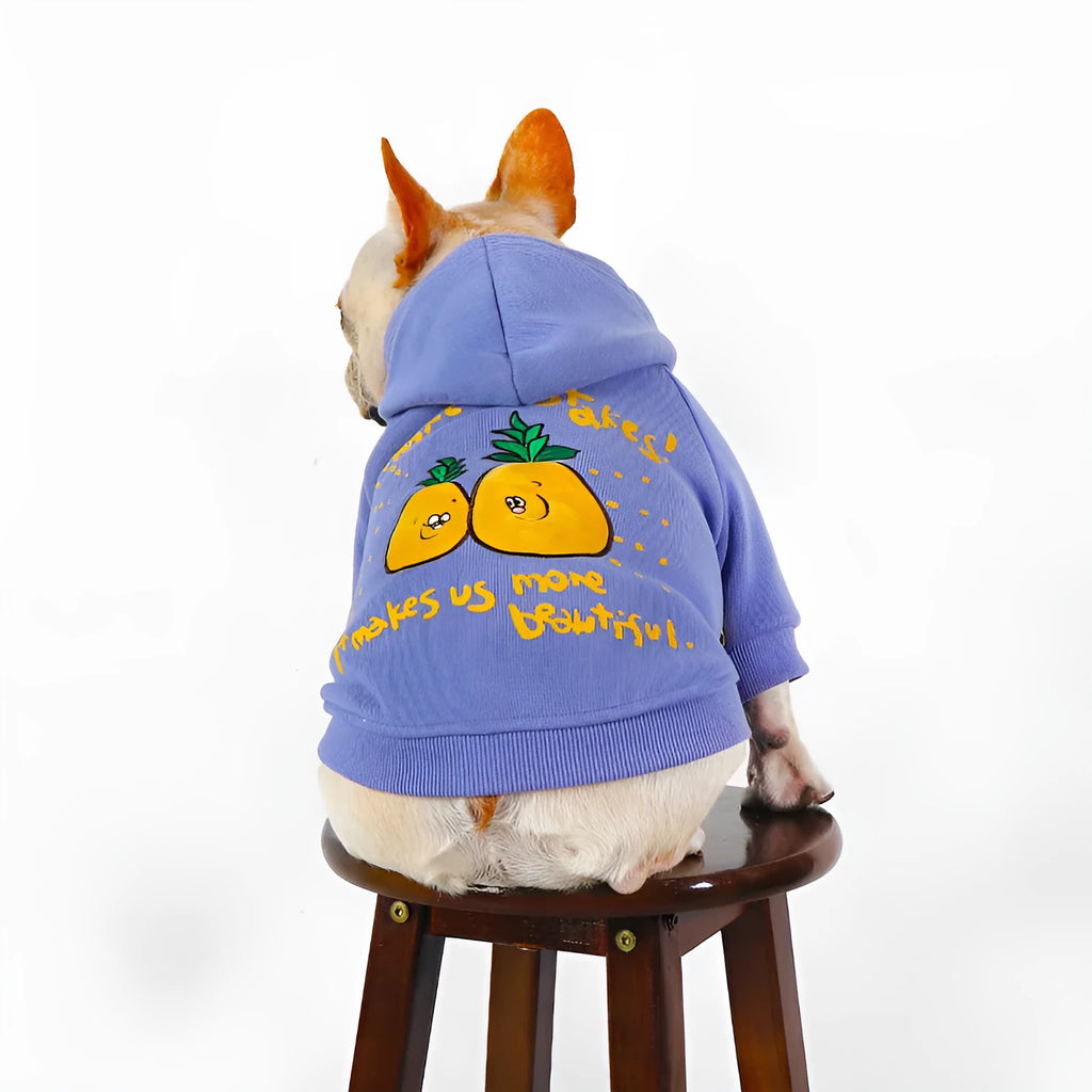 Winter cartoon printed plush pet hoodie in blue and purple made from cotton, shown on a pet