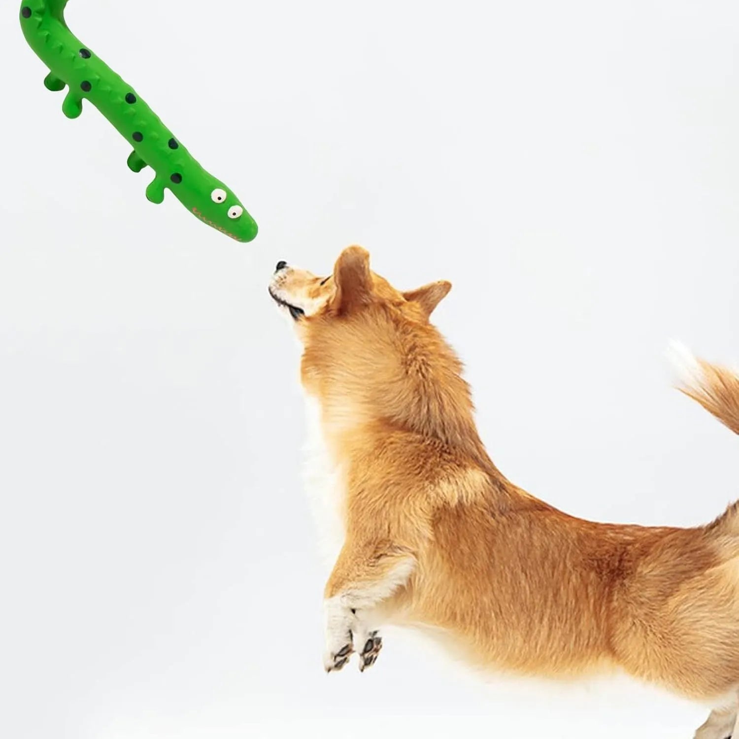 Green lizard-shaped dog chew toy with textured latex surface and squeaker function