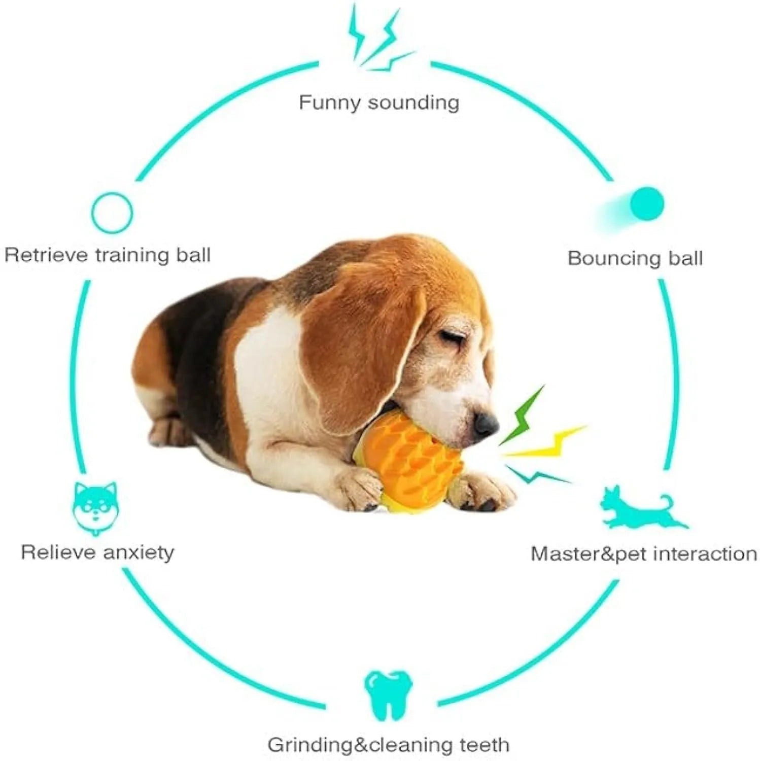 Blue and orange squeaky dog ball with spiky surface for dental cleaning and water fetch