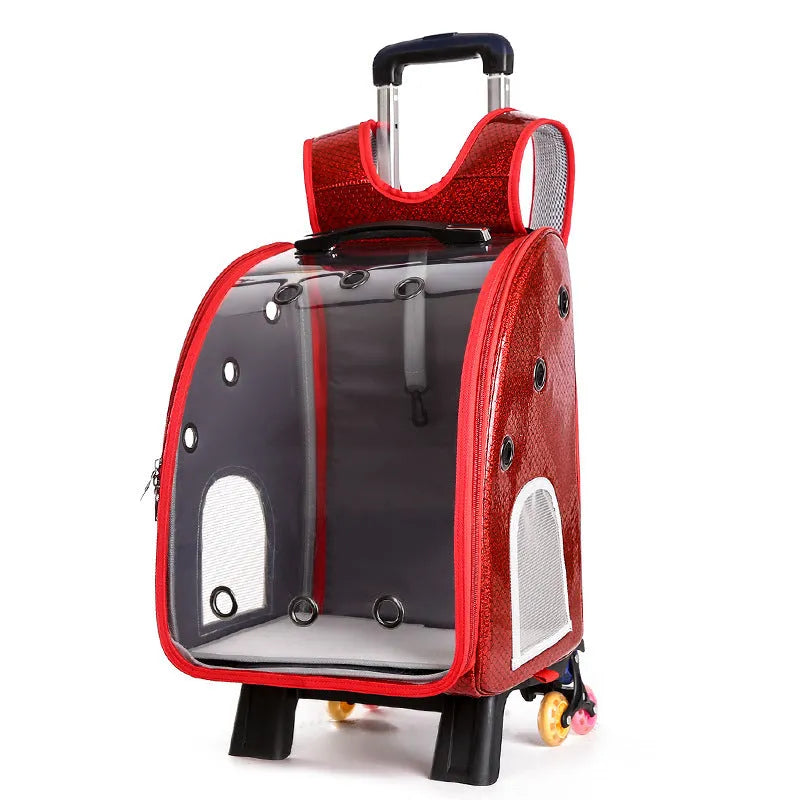Transparent folding pet trolley with Oxford cloth backpack in blue colour for small dog transport