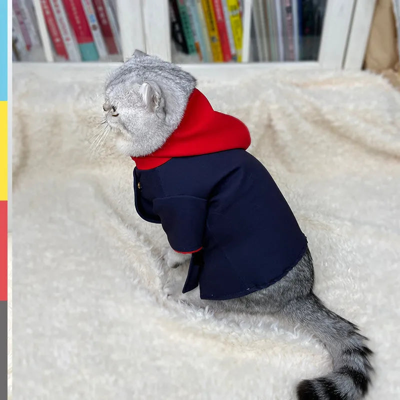 Tiger stripe hoodie for cats and dogs worn as photo prop costume