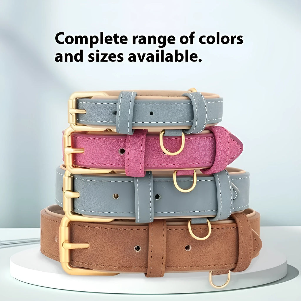 Double-layer leather dog collar and matching lead in rose red, brown, or blue colour on a size tag.