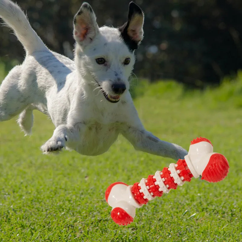 Blue, orange, and red bone-shaped interactive dog toy with treat holder for small breed dogs
