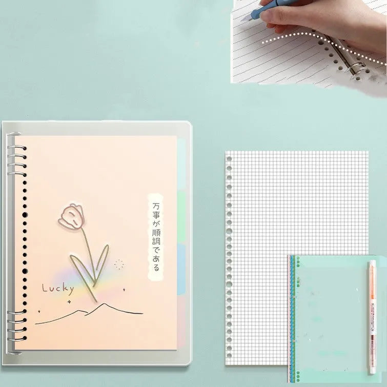 B5 hard cover loose-leaf notebook with detachable pages in 255x180mm size showing Daolin paper and colour pages