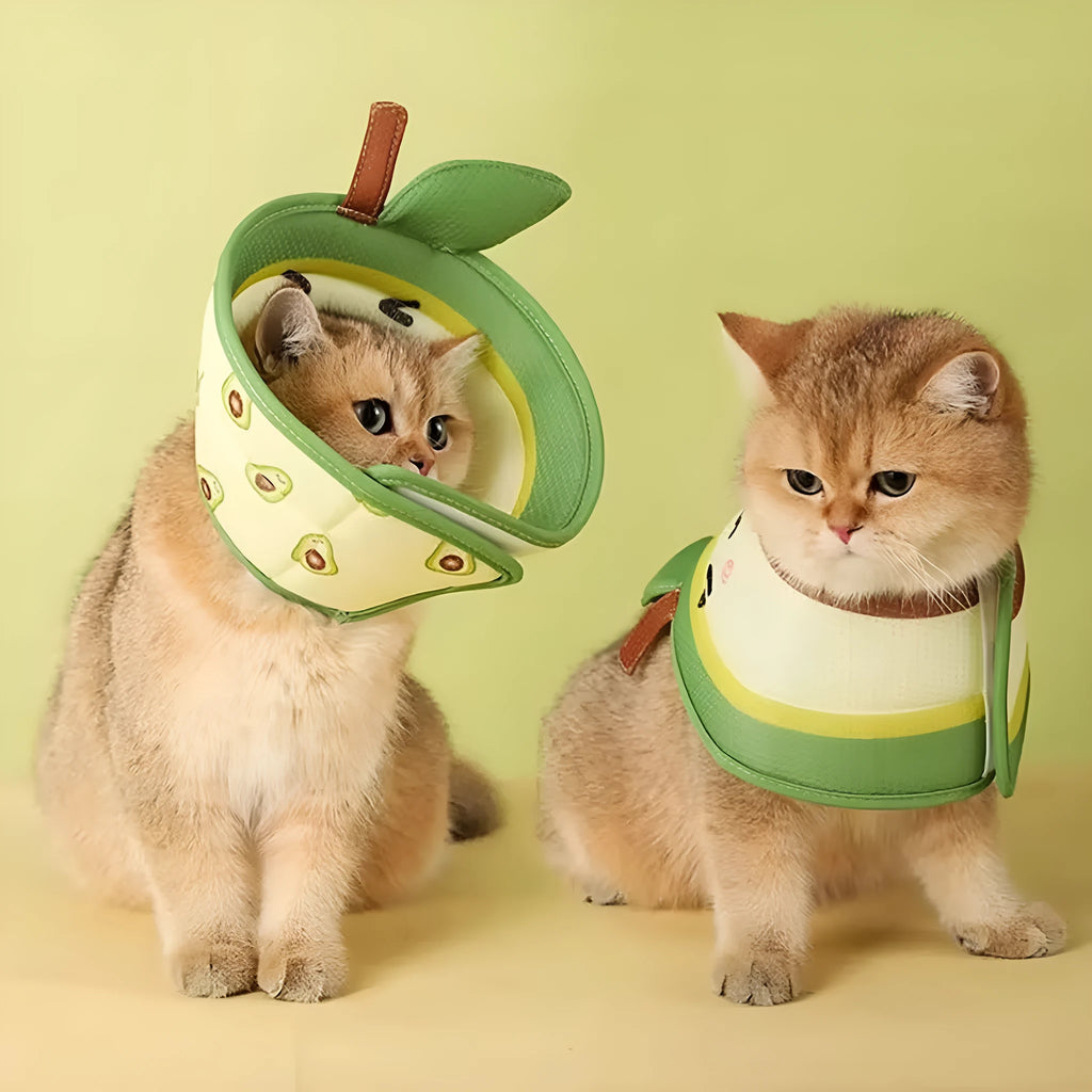 Soft EPE foam cat cone collar with adjustable strap for post-surgery recovery