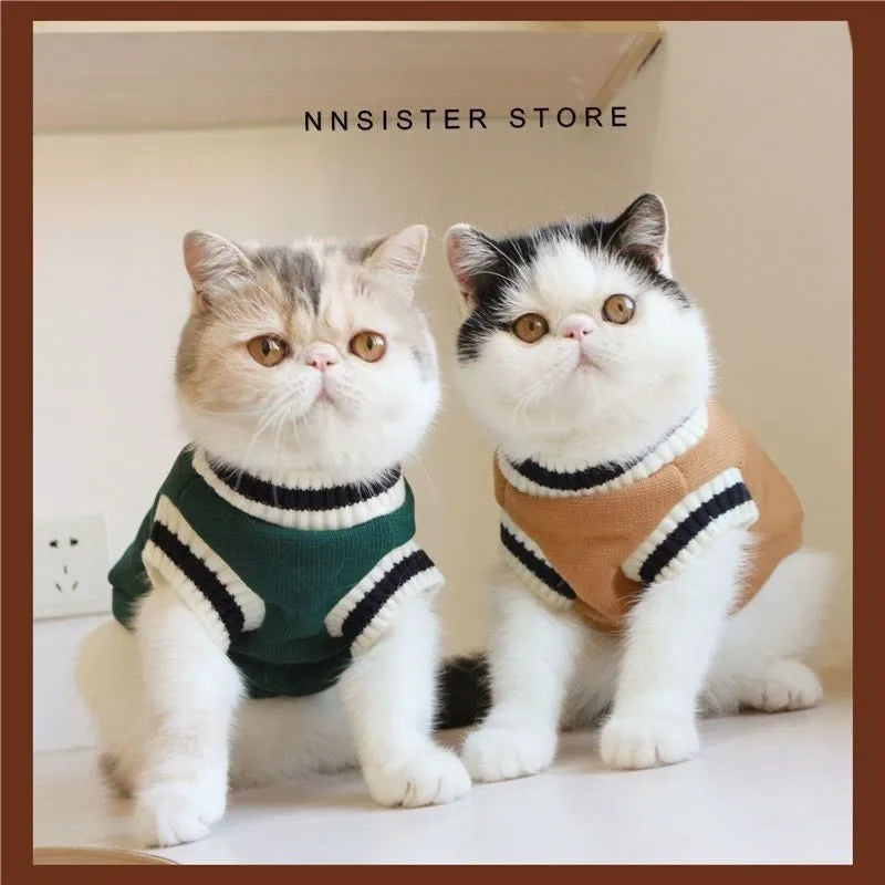 Pet cat winter coat with college-style layer, size M, khaki colour, for British Shorthair breed