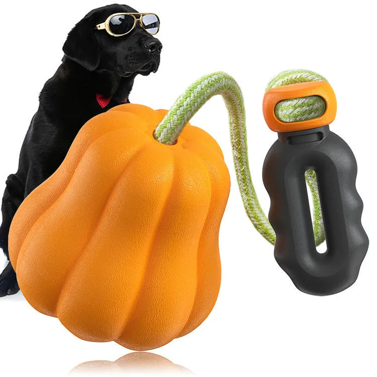 Pumpkin coloured molar-shaped plastic dog toy with a rope handle for outdoor fetch.