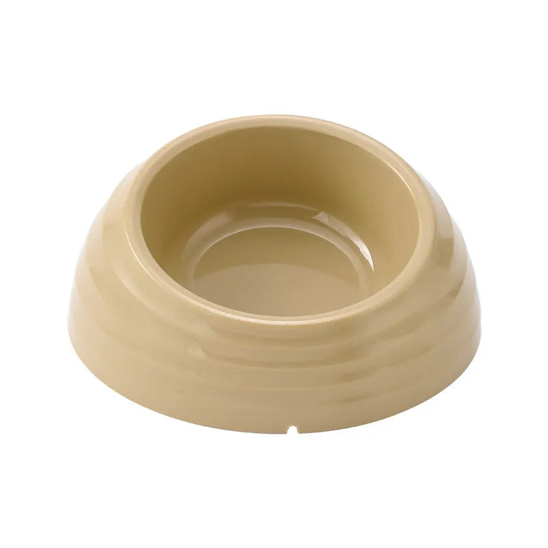 Stainless steel cat bowl in plastic holder available in light green, beige, and brown colour options