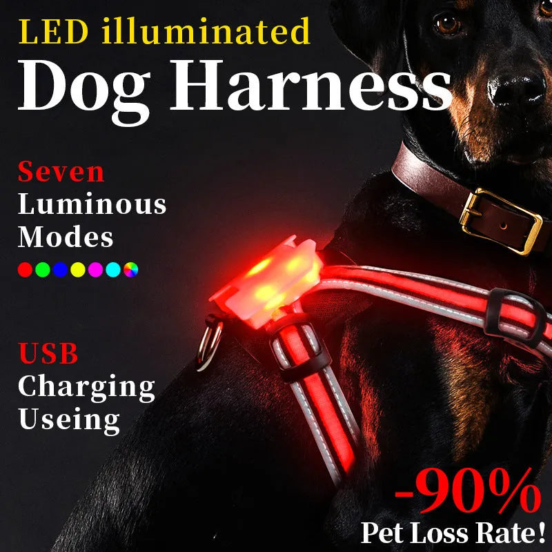 Luminous nylon dog lead with multi-colour LED lights and a coiled charging cable.