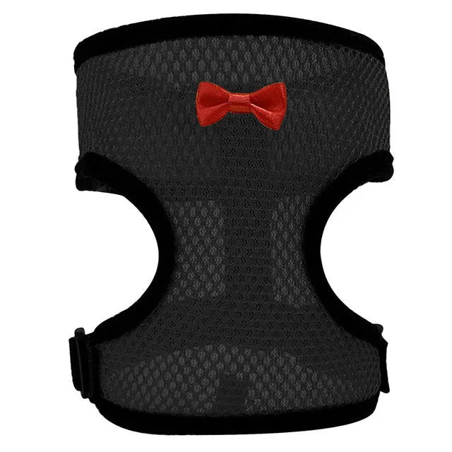 Pet chicken duck poultry vest harness with matching collar bow and 110cm traction rope on a bird