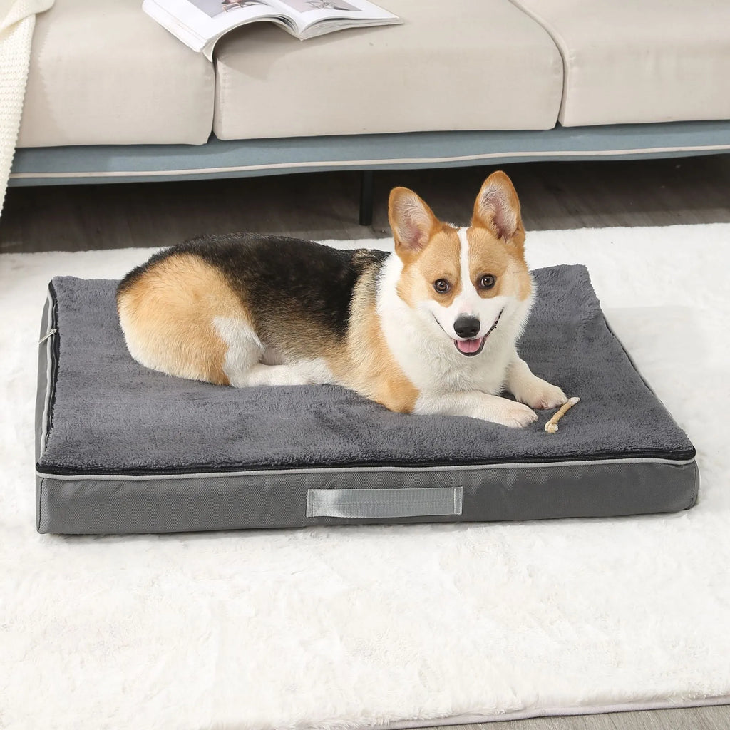 Removable washable sponge dog mat in brown, shown in a 100x75x10cm size.