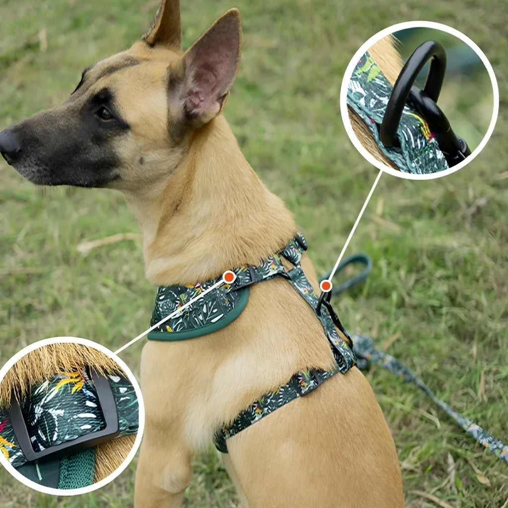 Six-piece adjustable dog harness set with waste bag and decorative accessories in cloth material