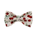 Red cherry printed dog collar and leash five-piece set with light gold buckle and bow strap