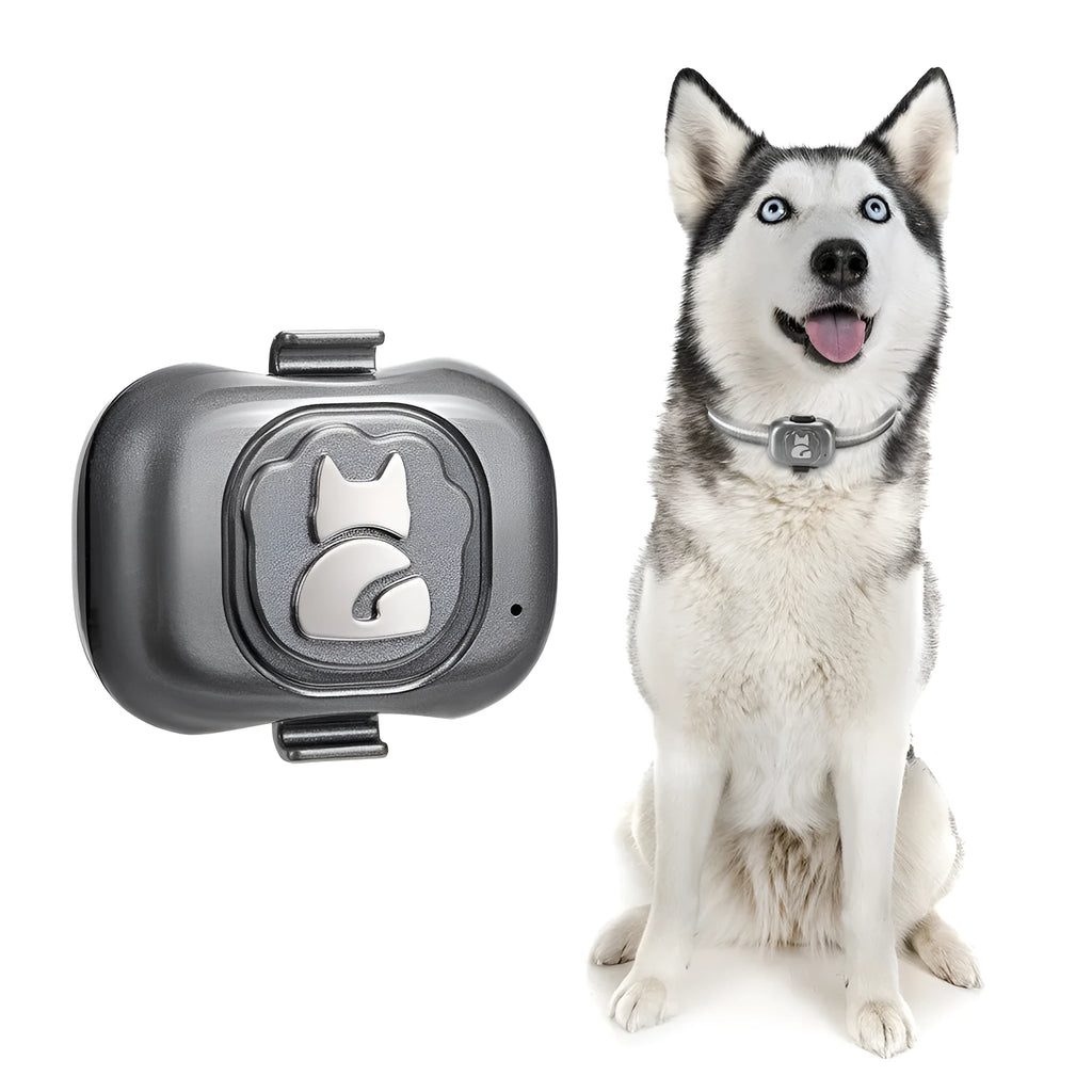 Black pet GPS locator device with hanging rope for attachment to dog or cat collars