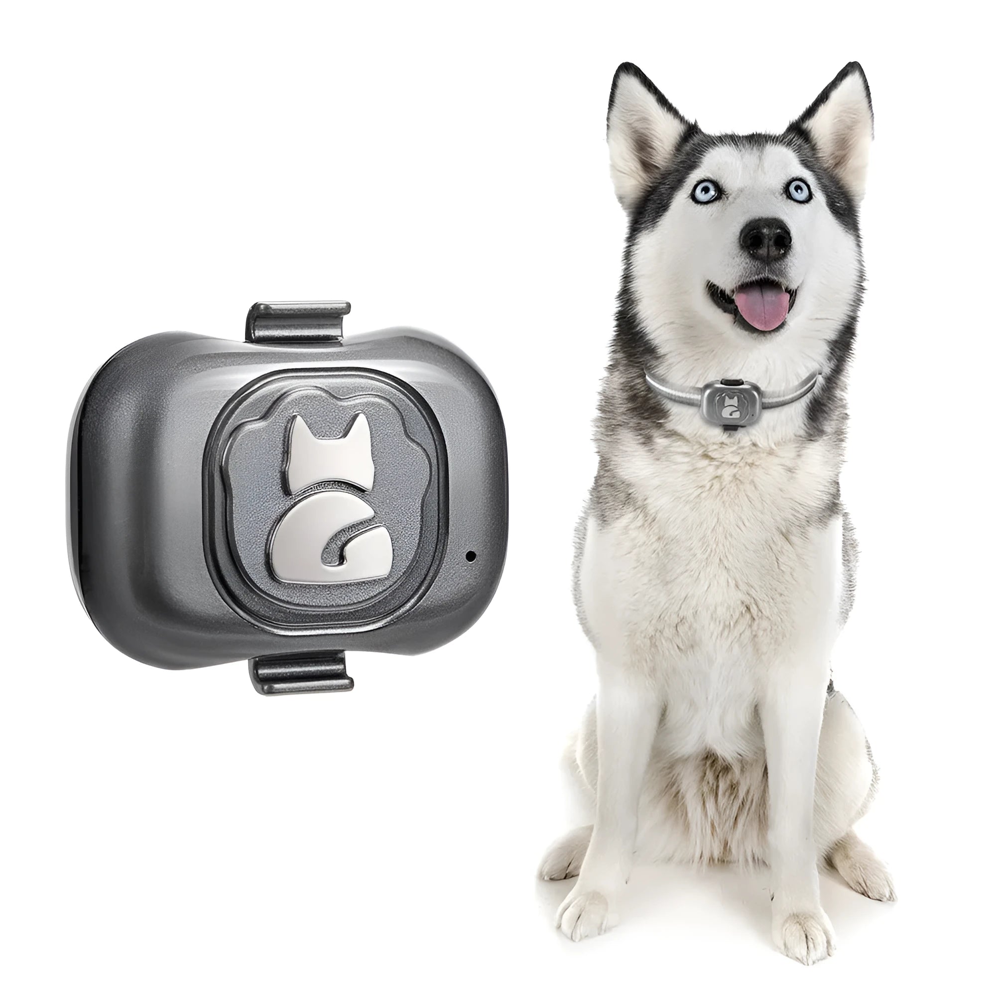 Black pet GPS locator device with hanging rope for attachment to dog or cat collars