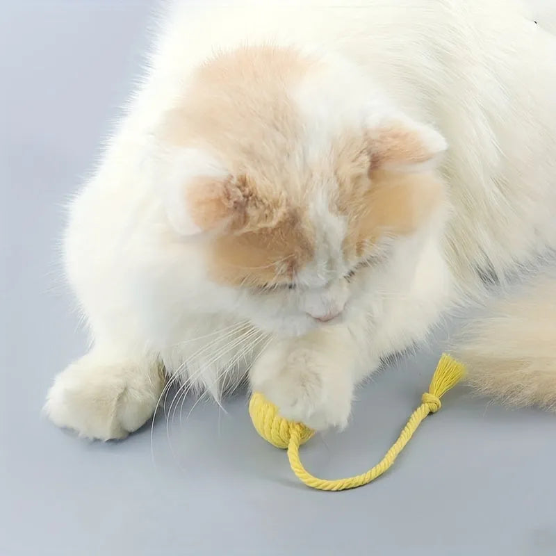 Colourful cat toy ball with attached rope and built-in bell in green, pink, purple, and yellow