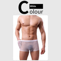 Men's thin sheer mesh boxer briefs in multiple colours on a white background