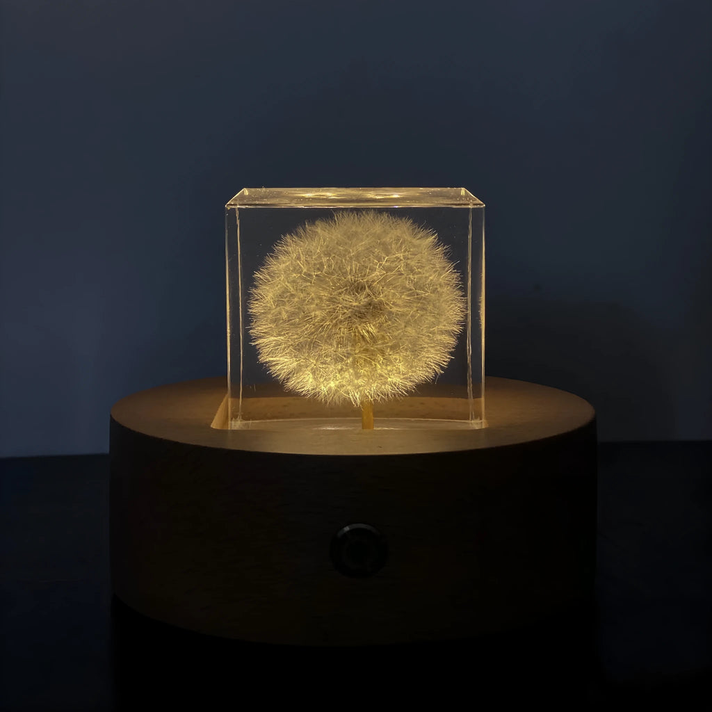 Dandelion specimen cube 5cm resin tabletop decoration with wooden box and USB base