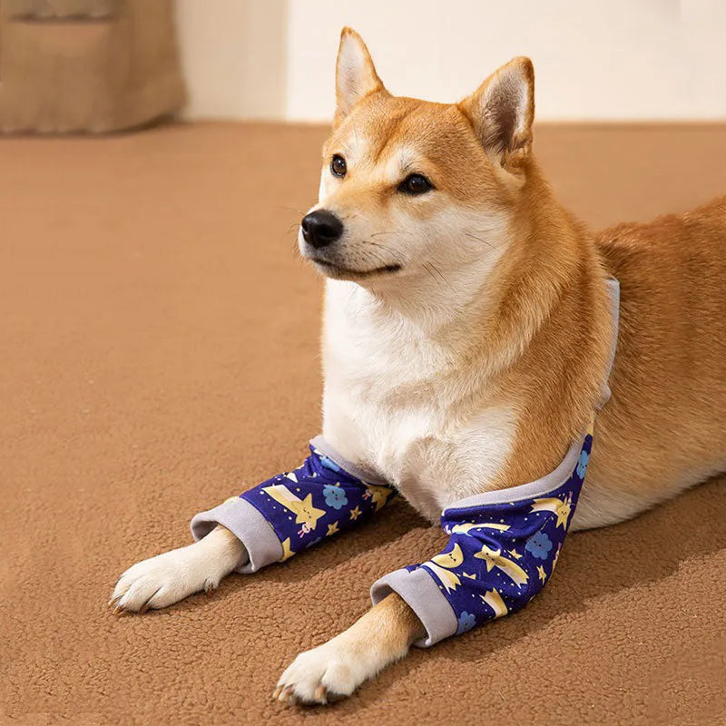 Blue dog knee protector with matching scarf showing adjustable straps and elbow padding