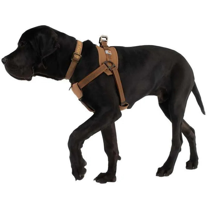 Dog chest strap training belt with reflective hand-held rope, available in M, L, XL sizes, for pet walking control