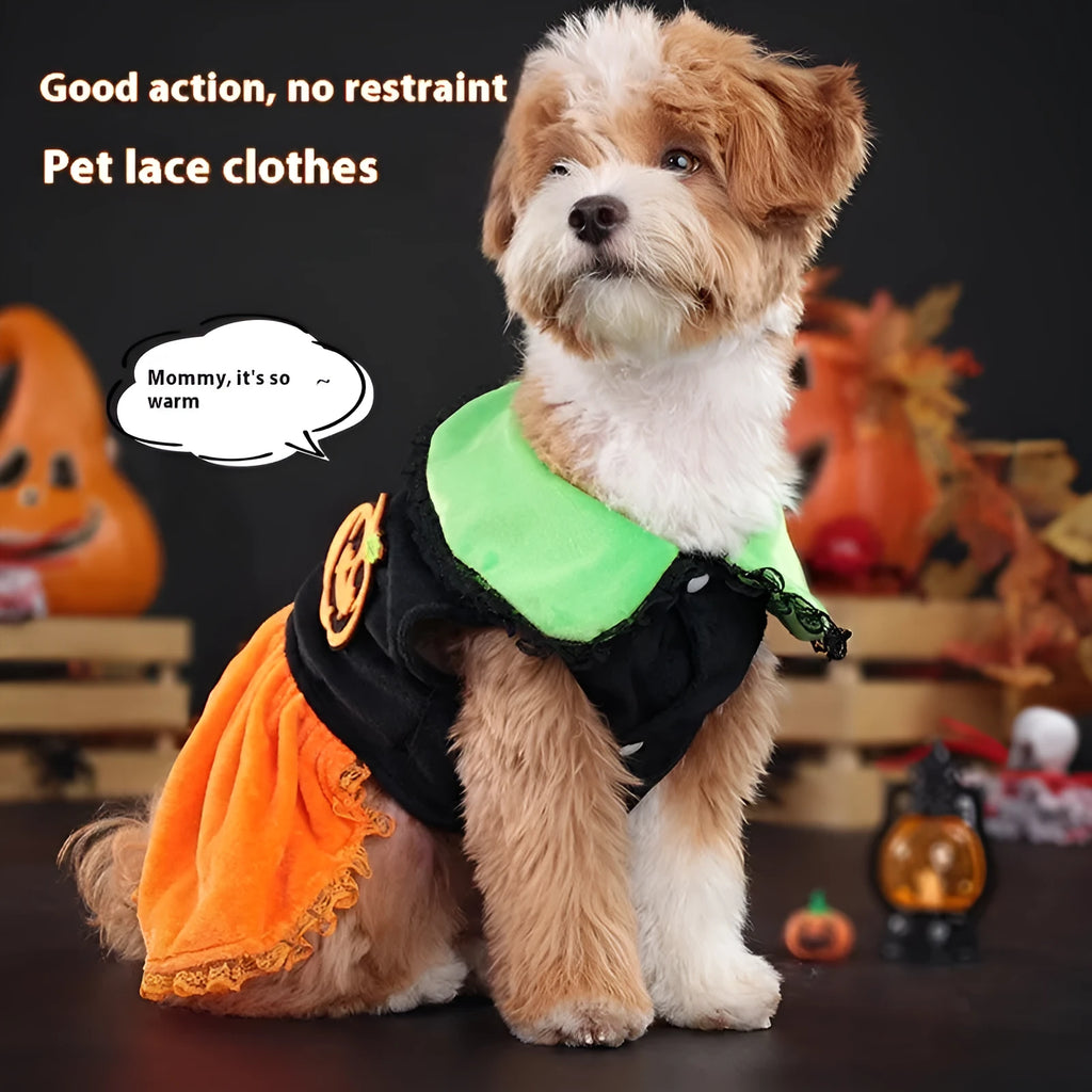 Halloween pumpkin skirt and sweater pet costume for dogs and cats in crystal velvet material