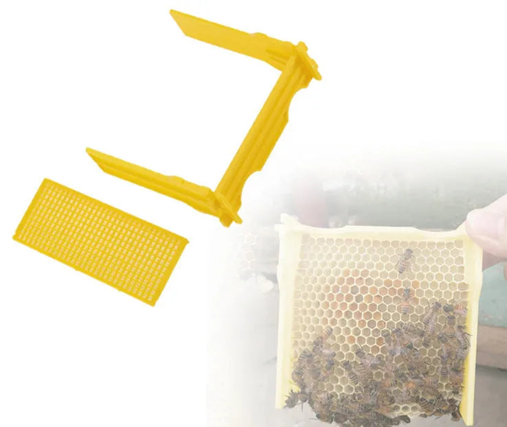 Three white foam bee delivery boxes for beehive queen mating and breeding operations