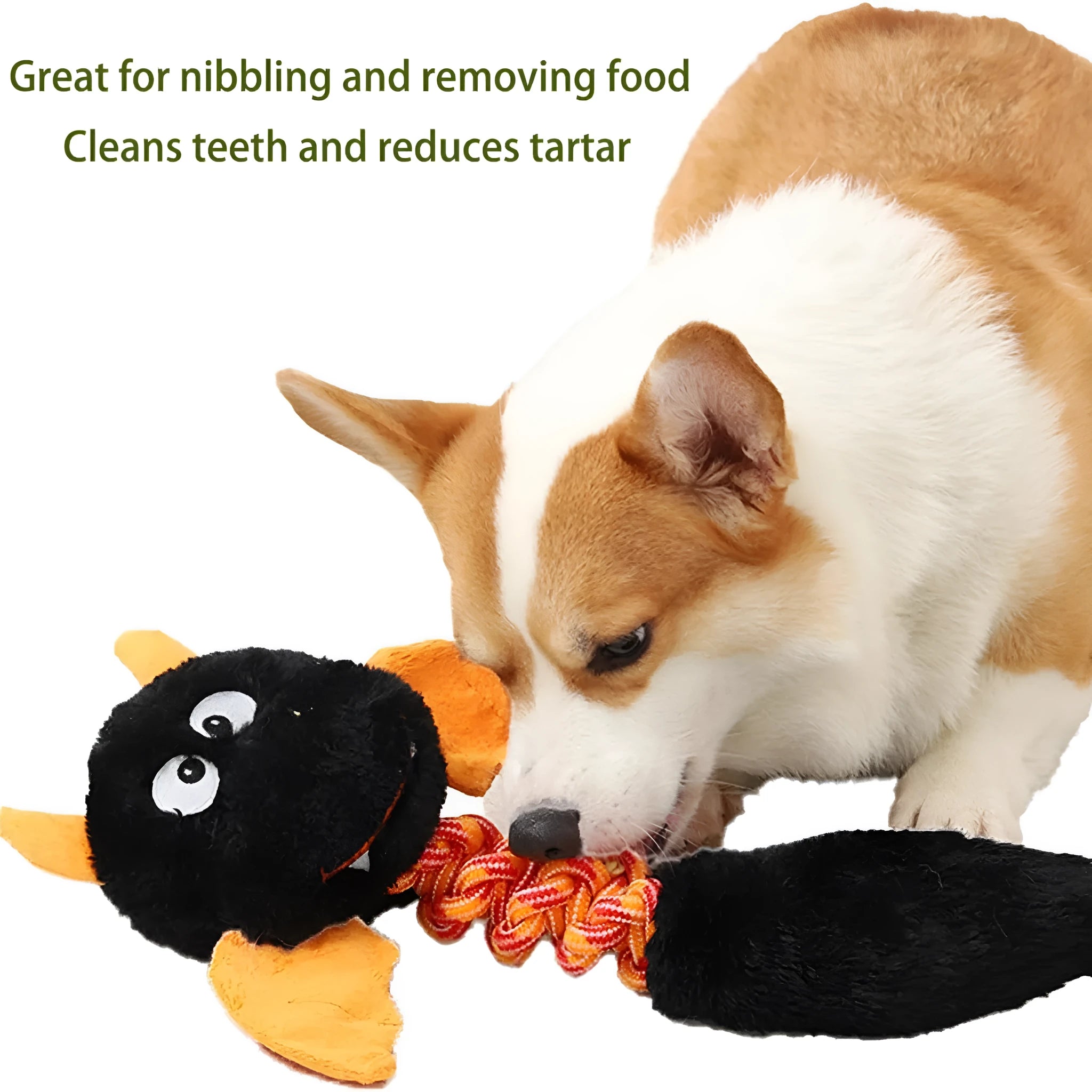 Plush cartoon dog toy with rope knot, in black, green, or red colour, shown next to a tape measure indicating 44 cm length.