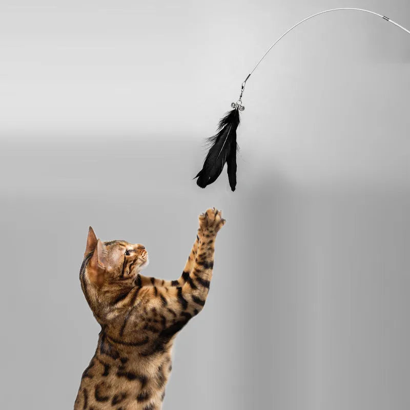 Telescopic fishing rod cat toy with goose feather lure, removable bell, extended to 80 cm on white background