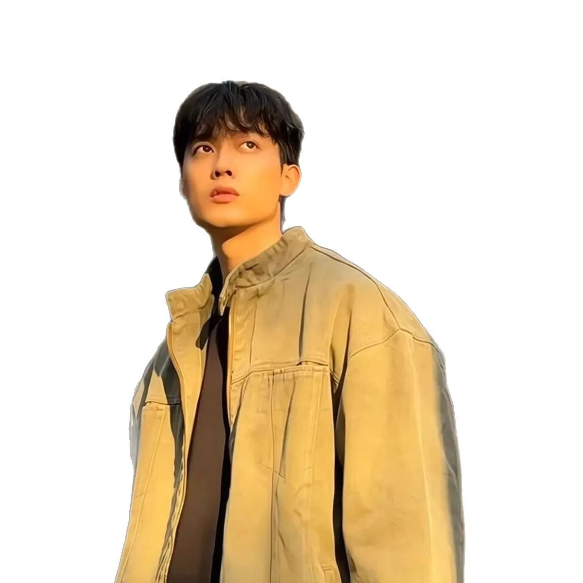 Men's stand collar loose fit jacket in Army Green, polyester, long sleeves, front view spring wear