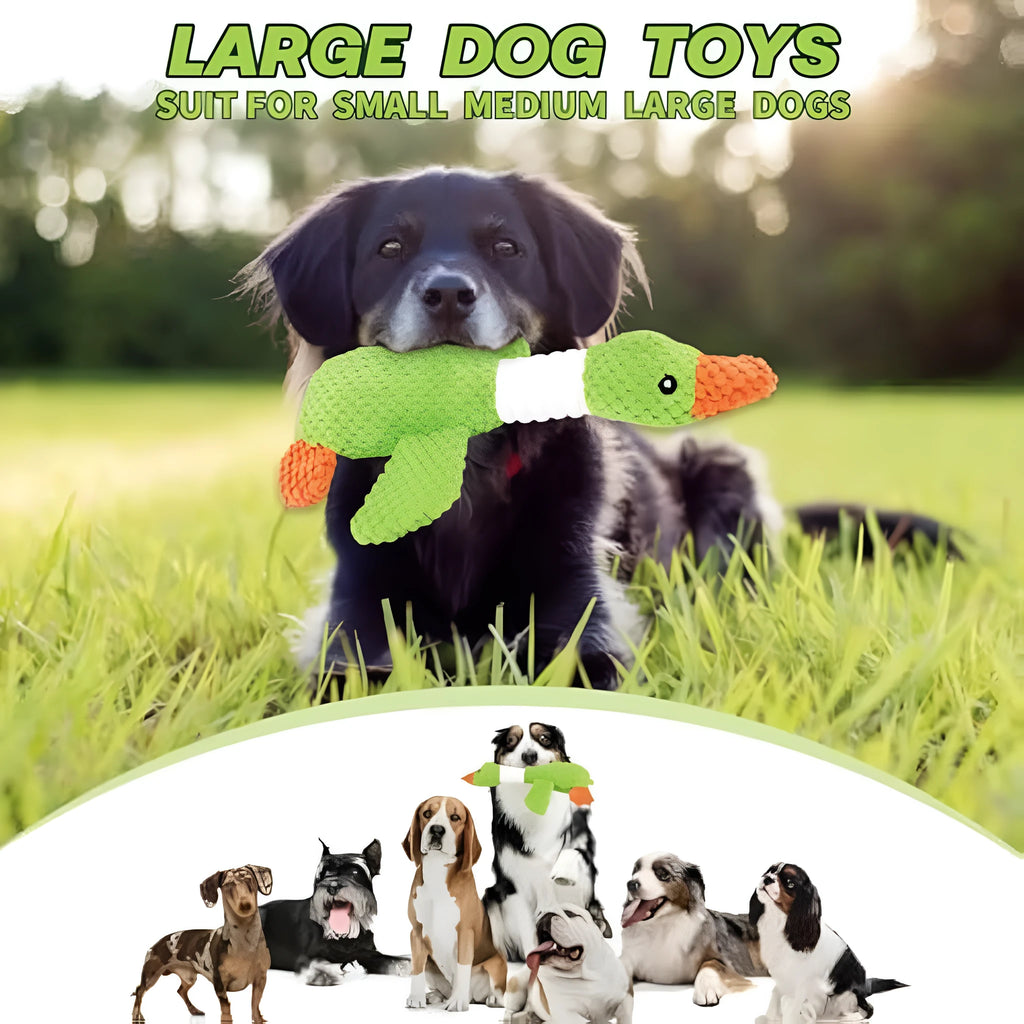 Blue duck-shaped plush dog toy with squeakers for chewing play measuring 33cm long