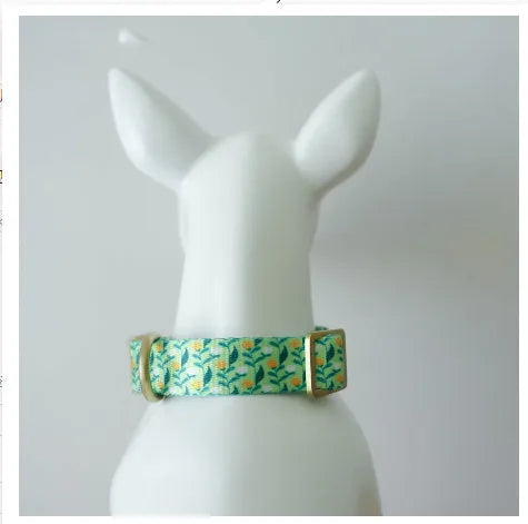 Nylon ribbon pet collar with flower pattern in Hanada colour on a small cat