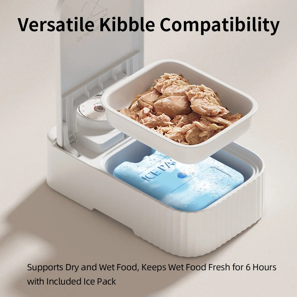 White pet single meal feeder with digital timer display and ice crystal box underneath for 48-hour freshness