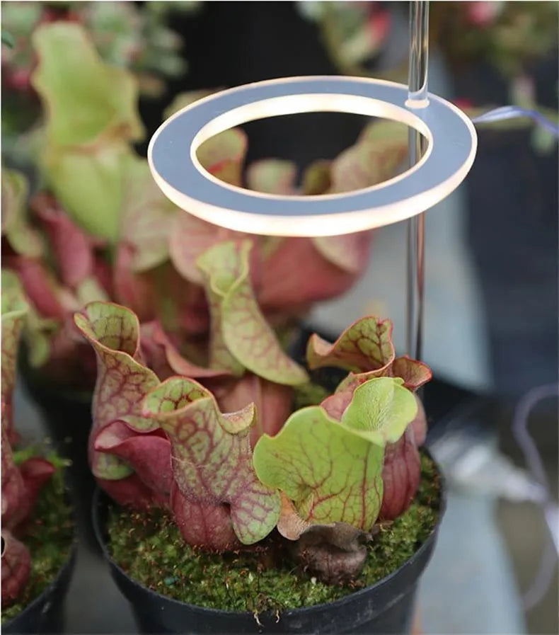 USB LED grow light with full spectrum plant lighting on 25cm acrylic stick