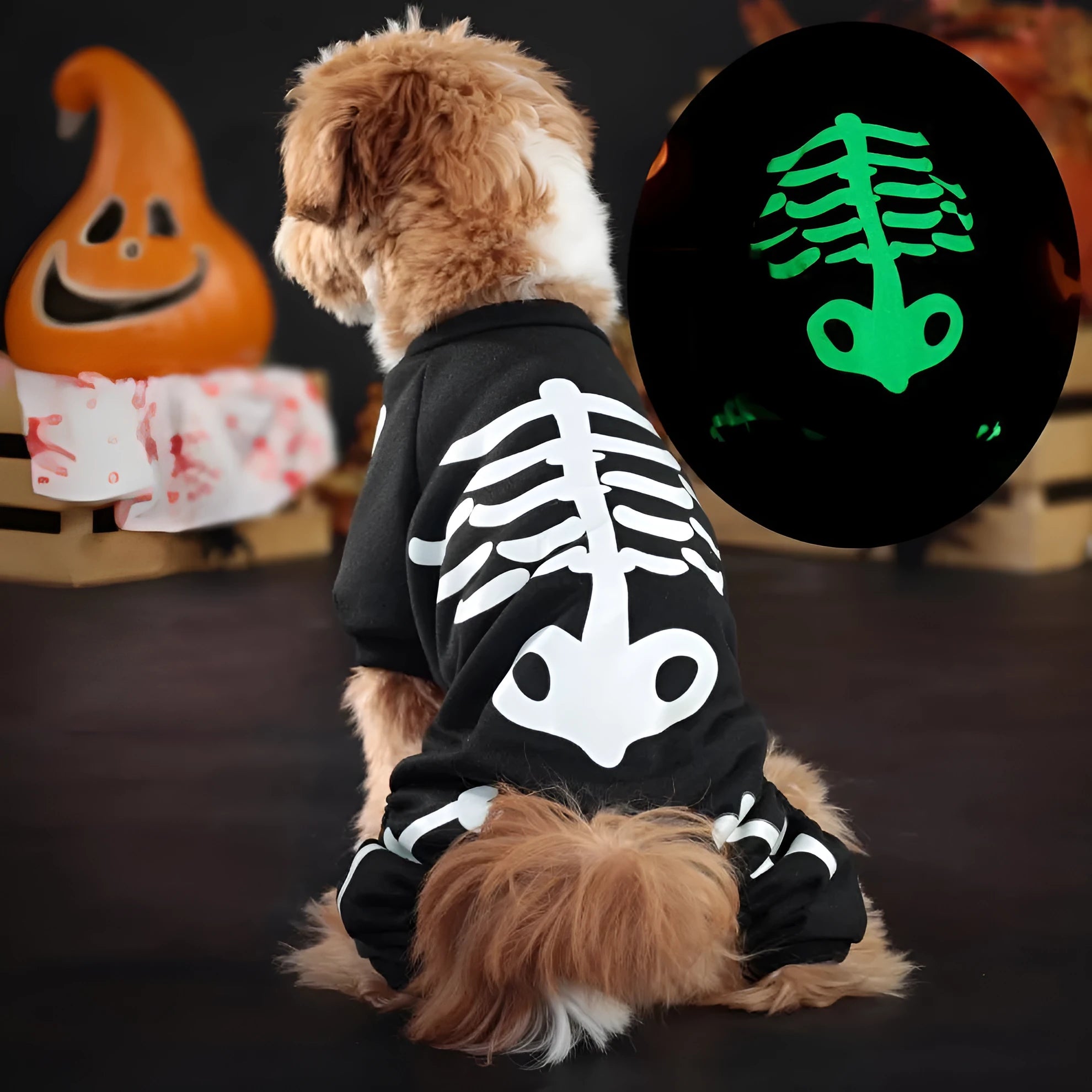 Halloween pet clothing with luminous skull bones design in milk silk fabric on a light background