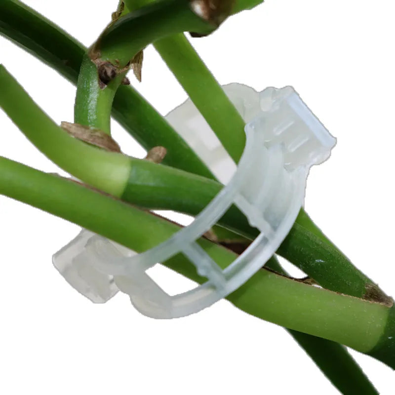 50-piece set of plastic garden plant grafting clips for tomato and twig support