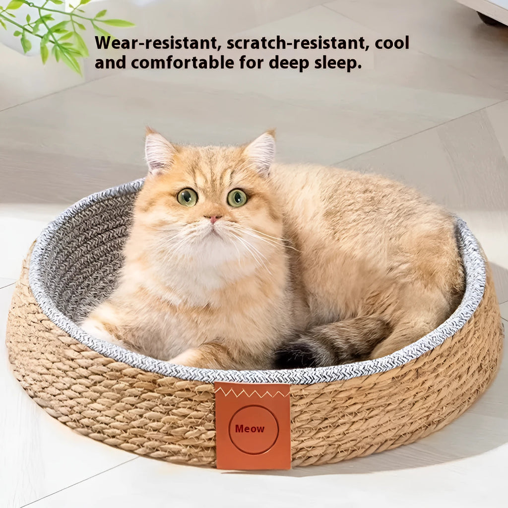 Natural rattan cat bed showing woven construction and open design for ventilation