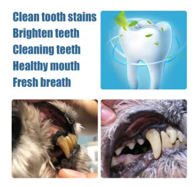 Pet teeth whitening pen with 3ml+3ml formula and dental brush applicator for dog and cat dental care