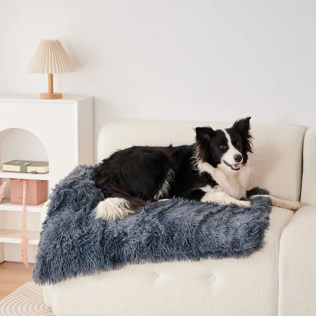 Light grey pet blanket made of velvet and long plush, with fluffy texture, on a sofa