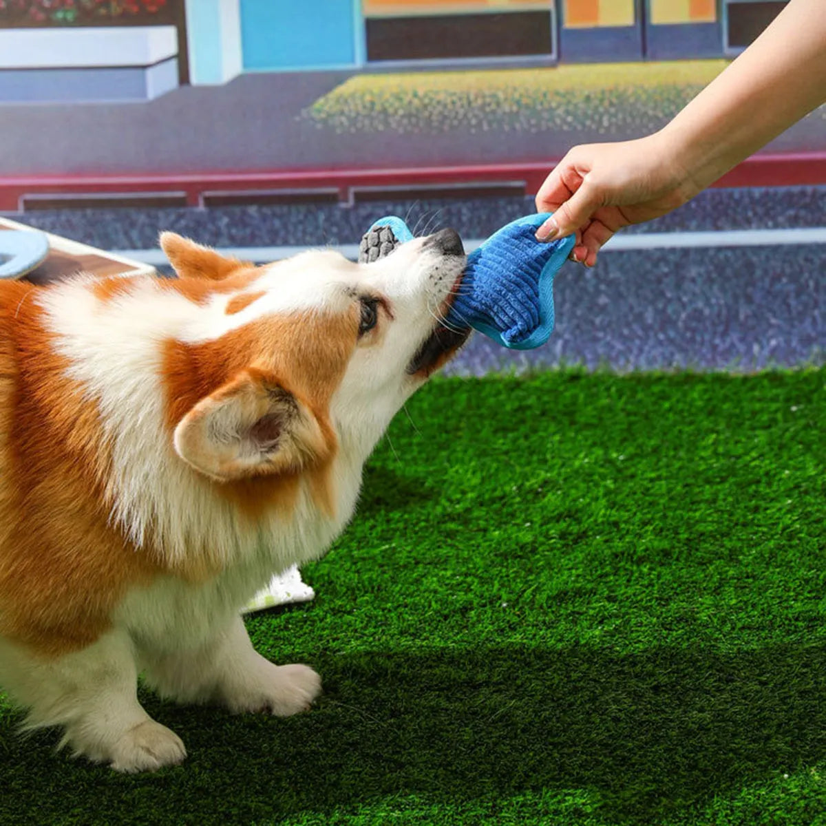 Bite-resistant teddy dog toy with sound bone model in blue, green, and pink colours
