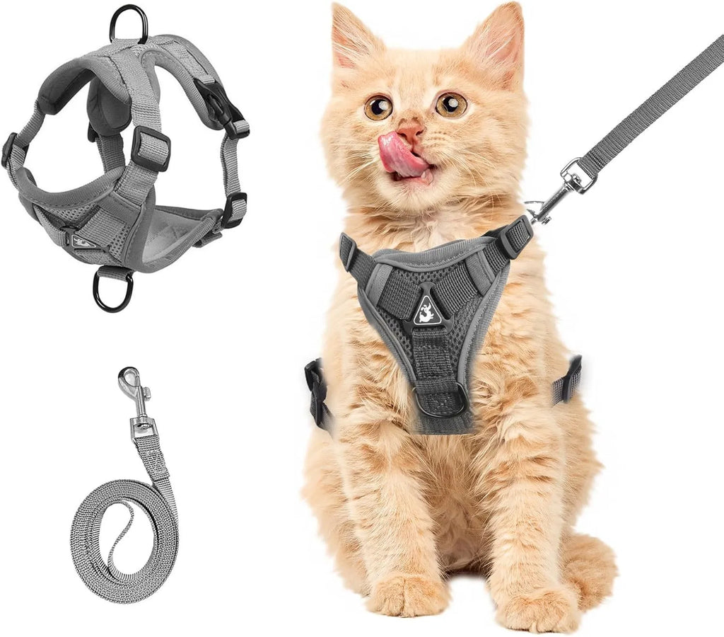 Soft mesh cat harness and leash set in blue with reflective chest patch on a cat outdoors