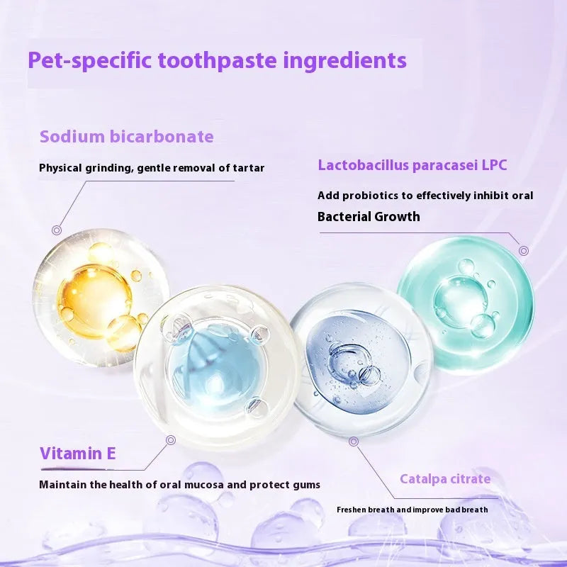 Pet toothbrush pen with whitening gel for dog and cat teeth cleaning