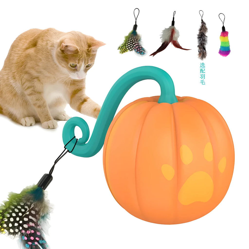 Electric cat toy luminous ball in plastic, available in watermelon and pumpkin colour options for interactive feline play