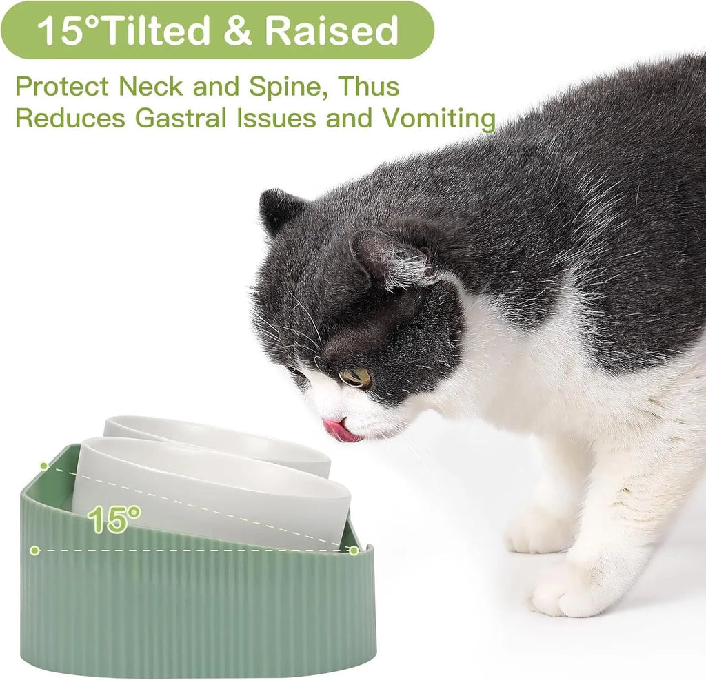 Green and white ceramic elevated cat bowl set with tilted stand and two bowls for food and water.