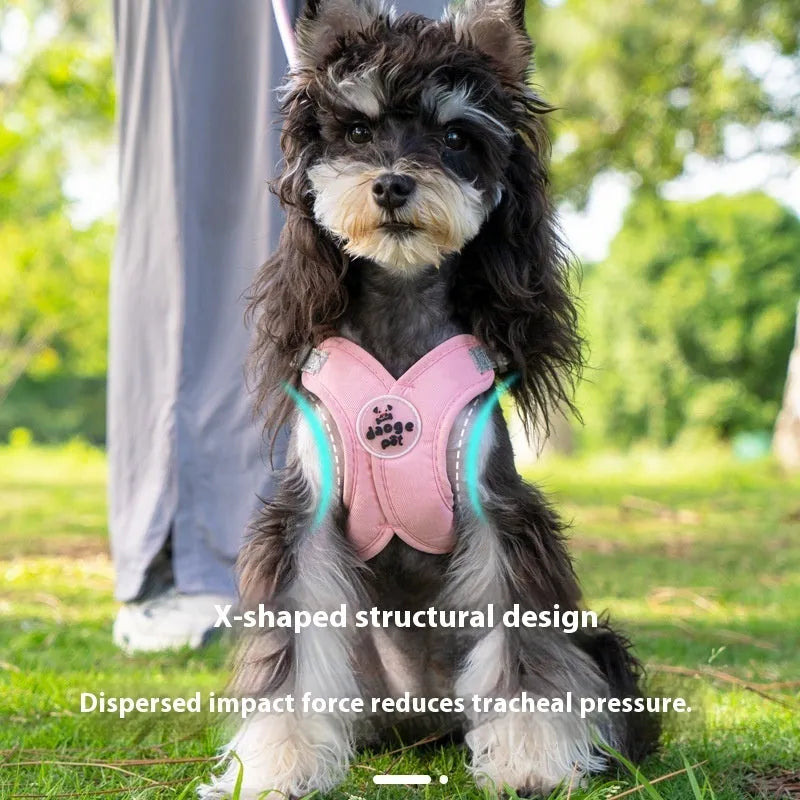 Polyester dog walking vest and hand-holding rope set shown in blue, green, pink, or yellow.
