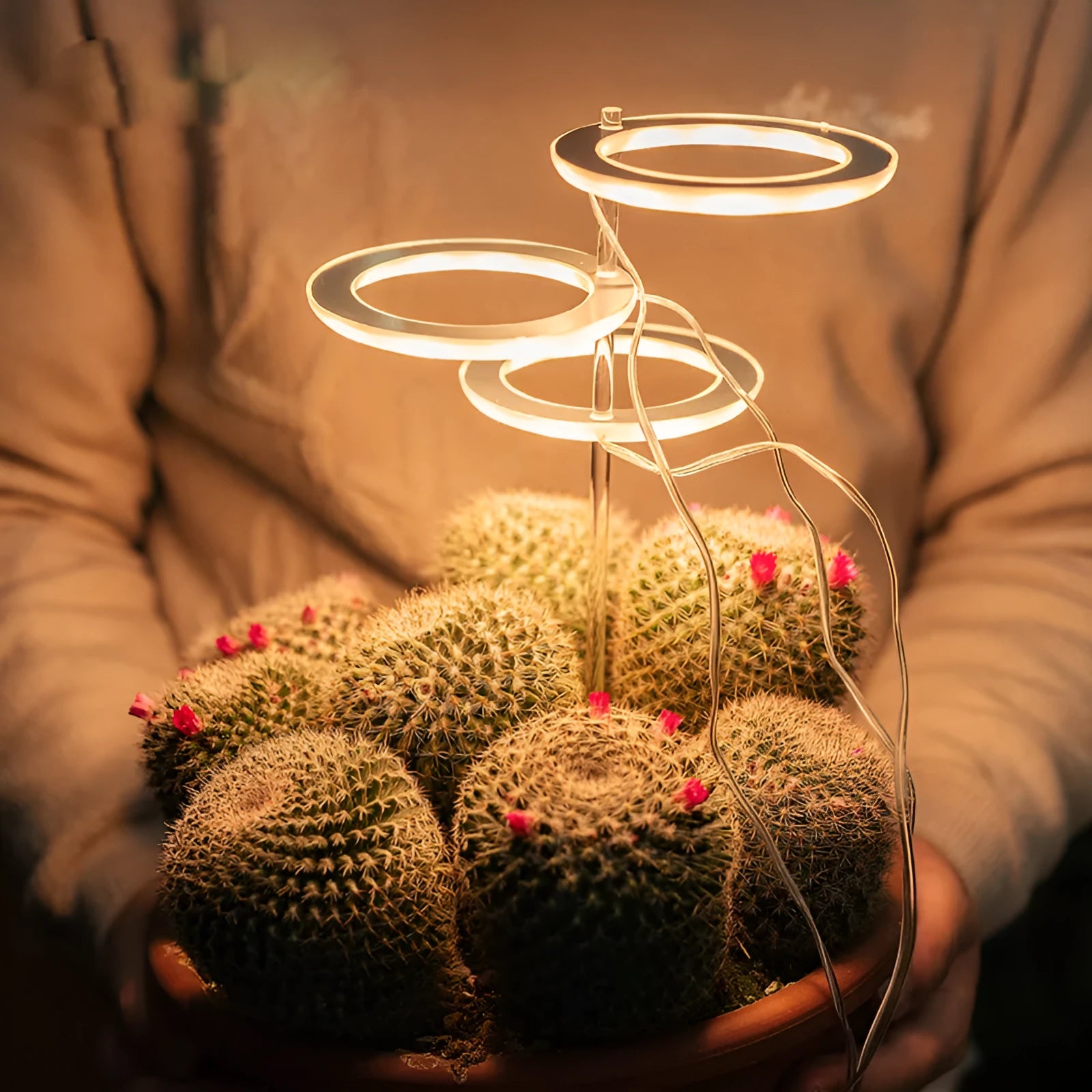 USB LED grow light with full spectrum plant lighting on 25cm acrylic stick