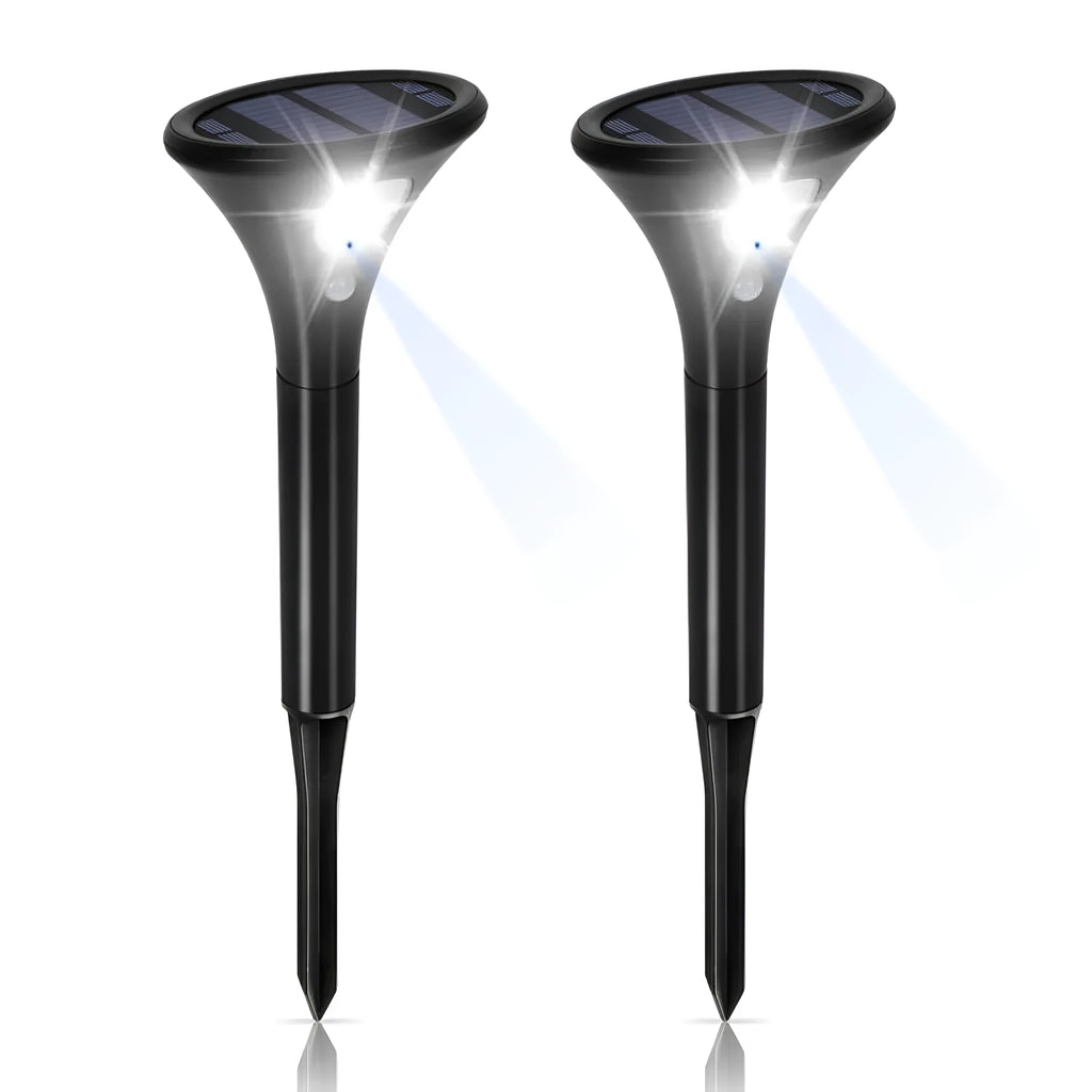 Solar-powered induction ground plug light for outdoor lawn and garden use with IP65 rating.