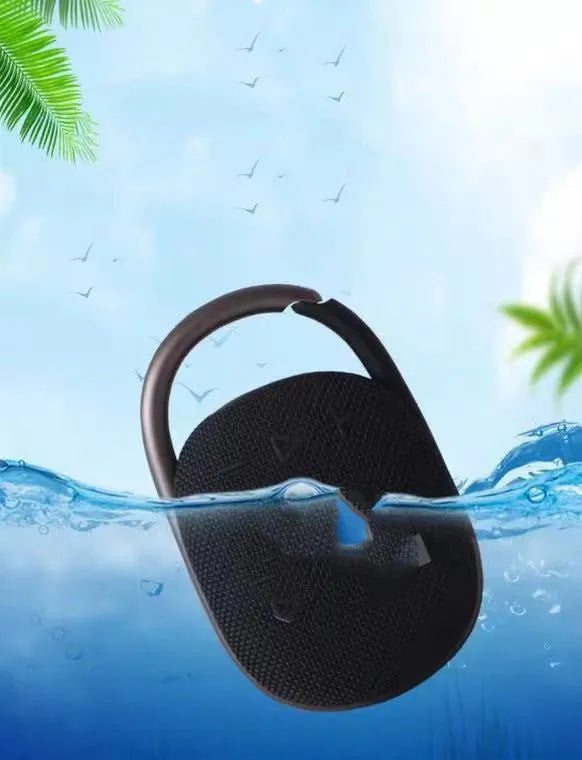 Small portable Bluetooth speaker in one of six colours: pink, blue, black, red, silver grey, or green