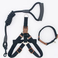 Nylon dog leash in black with clip, suitable for dogs up to 60 kg, multiple colour options.